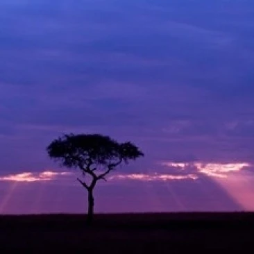 Blue skies Maasai Mara Kenya Poster Print by Joe Restuccia III (38 x 25) | Дом и сад